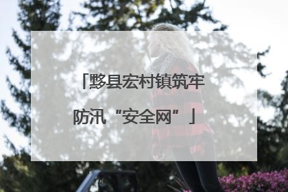 黟县宏村镇筑牢防汛“安全网”