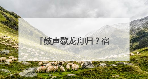 鼓声歇龙舟归？宿迁人的“水上DNA”藏不住了！