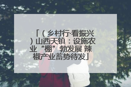 （乡村行·看振兴）山西天镇：设施农业“棚”勃发展 辣椒产业蓄势待发