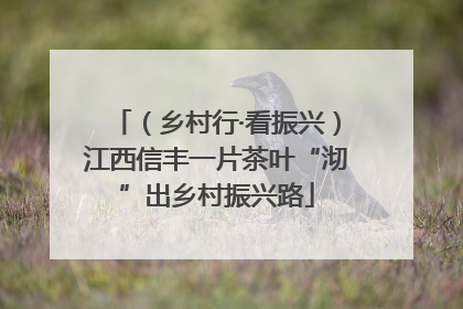 （乡村行·看振兴）江西信丰一片茶叶“沏”出乡村振兴路
