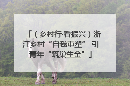 （乡村行·看振兴）浙江乡村“自我重塑” 引青年“筑巢生金”