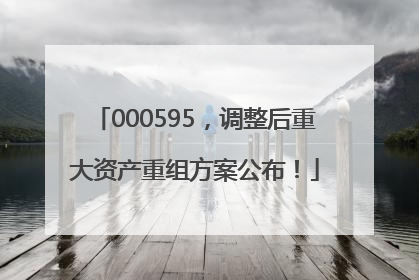 000595，调整后重大资产重组方案公布！