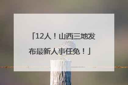 12人！山西三地发布最新人事任免！