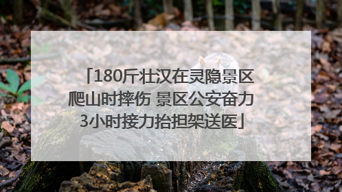 180斤壮汉在灵隐景区爬山时摔伤 景区公安奋力3小时接力抬担架送医