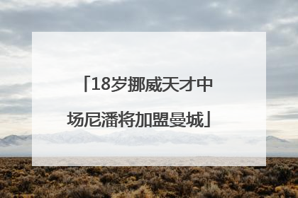 18岁挪威天才中场尼潘将加盟曼城