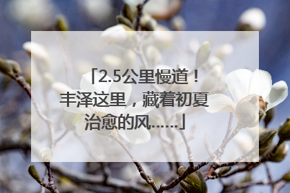 2.5公里慢道！丰泽这里，藏着初夏治愈的风……