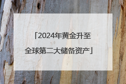 2024年黄金升至全球第二大储备资产