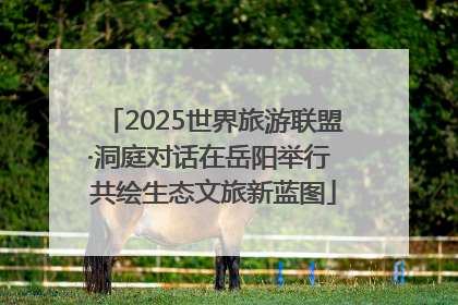 2025世界旅游联盟·洞庭对话在岳阳举行 共绘生态文旅新蓝图
