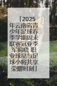 2025年云南省青少年足球春季学期周末联赛冠亚季军揭晓 职业球星与足球小将共享荣耀时刻