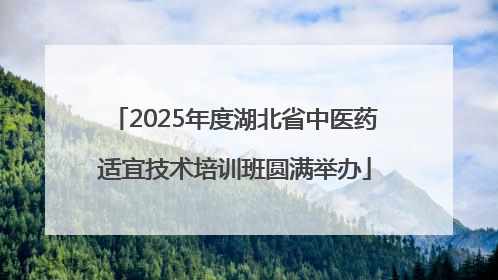 2025年度湖北省中医药适宜技术培训班圆满举办