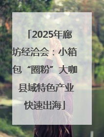 2025年廊坊经洽会：小箱包“圈粉”大咖 县域特色产业快速出海