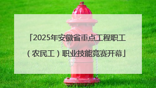 2025年安徽省重点工程职工（农民工）职业技能竞赛开幕