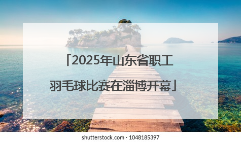 2025年山东省职工羽毛球比赛在淄博开幕