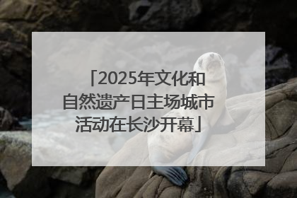 2025年文化和自然遗产日主场城市活动在长沙开幕