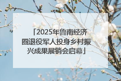 2025年鲁南经济圈退役军人投身乡村振兴成果展销会启幕