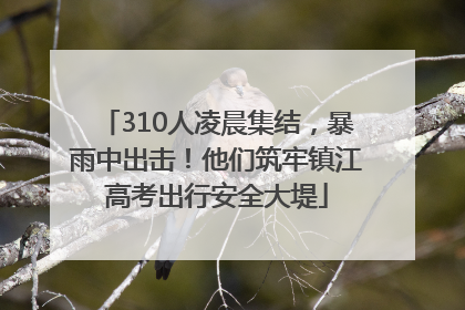 310人凌晨集结，暴雨中出击！他们筑牢镇江高考出行安全大堤