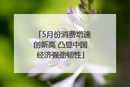 5月份消费增速创新高 凸显中国经济强劲韧性