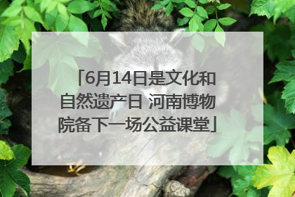 6月14日是文化和自然遗产日 河南博物院备下一场公益课堂