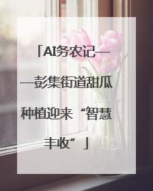 AI务农记——彭集街道甜瓜种植迎来“智慧丰收”