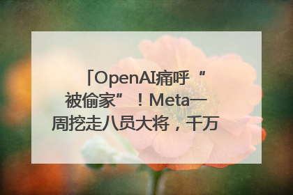 OpenAI痛呼“被偷家”！Meta一周挖走八员大将，千万美元薪酬战开打