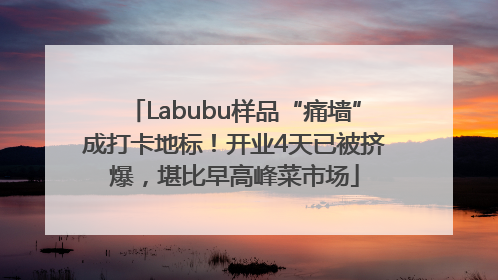 Labubu样品“痛墙”成打卡地标！开业4天已被挤爆，堪比早高峰菜市场